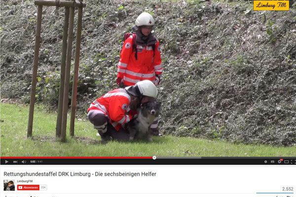 Rettungshund des DRK Limburg bei der Arbeit. Screenshot: YouTube 